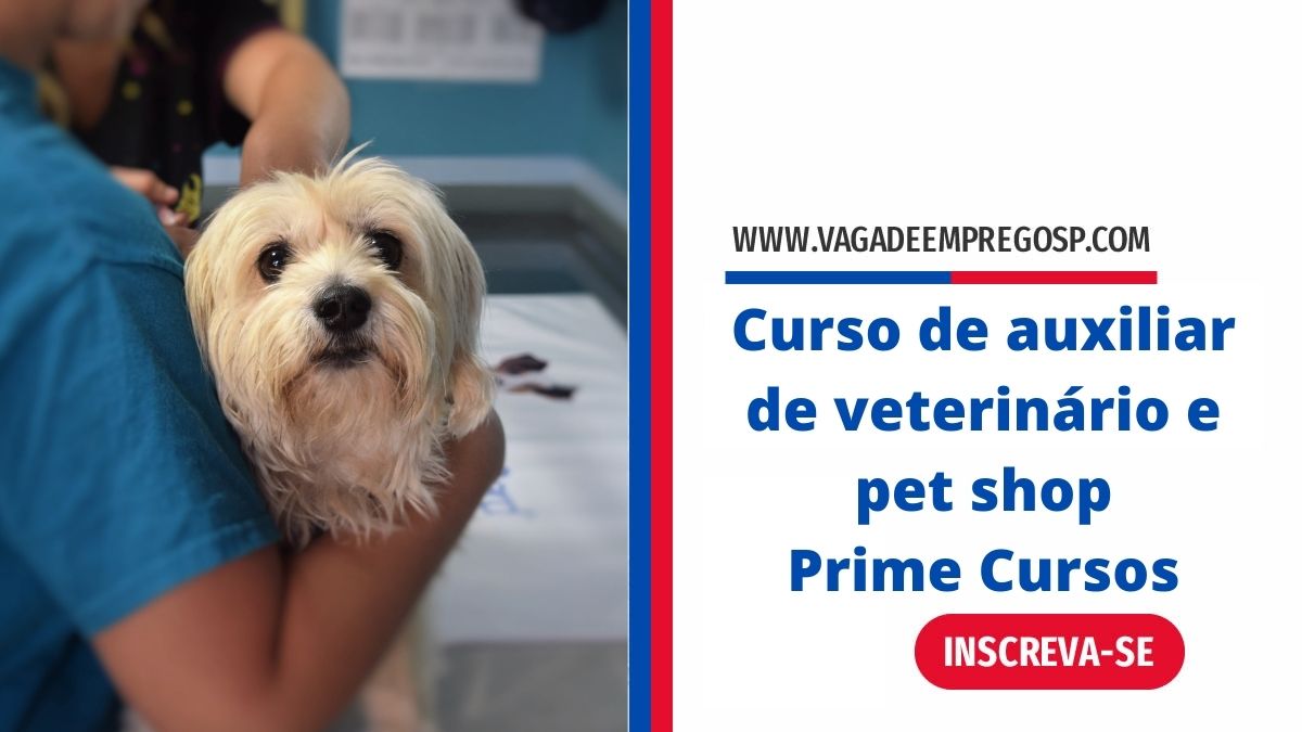 veterinario