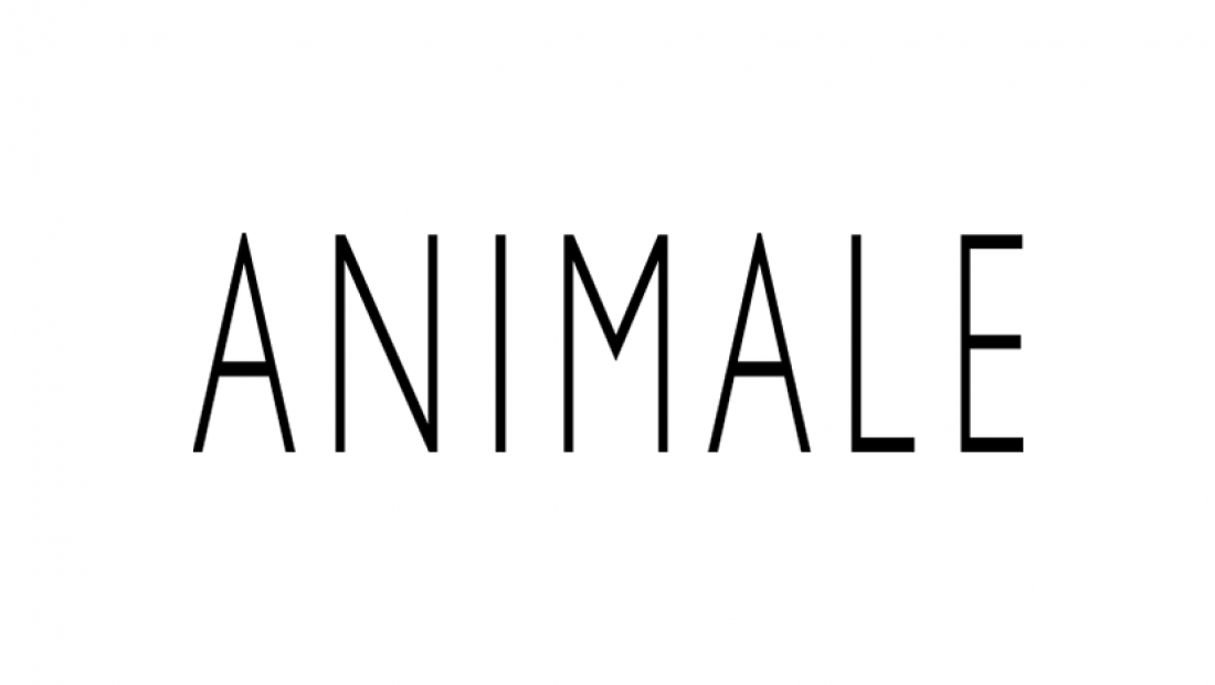 empregos ANIMALE